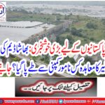 What type of company agreement was established for the Bhasha Dam?