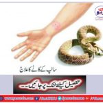 Treatment of snake bite
