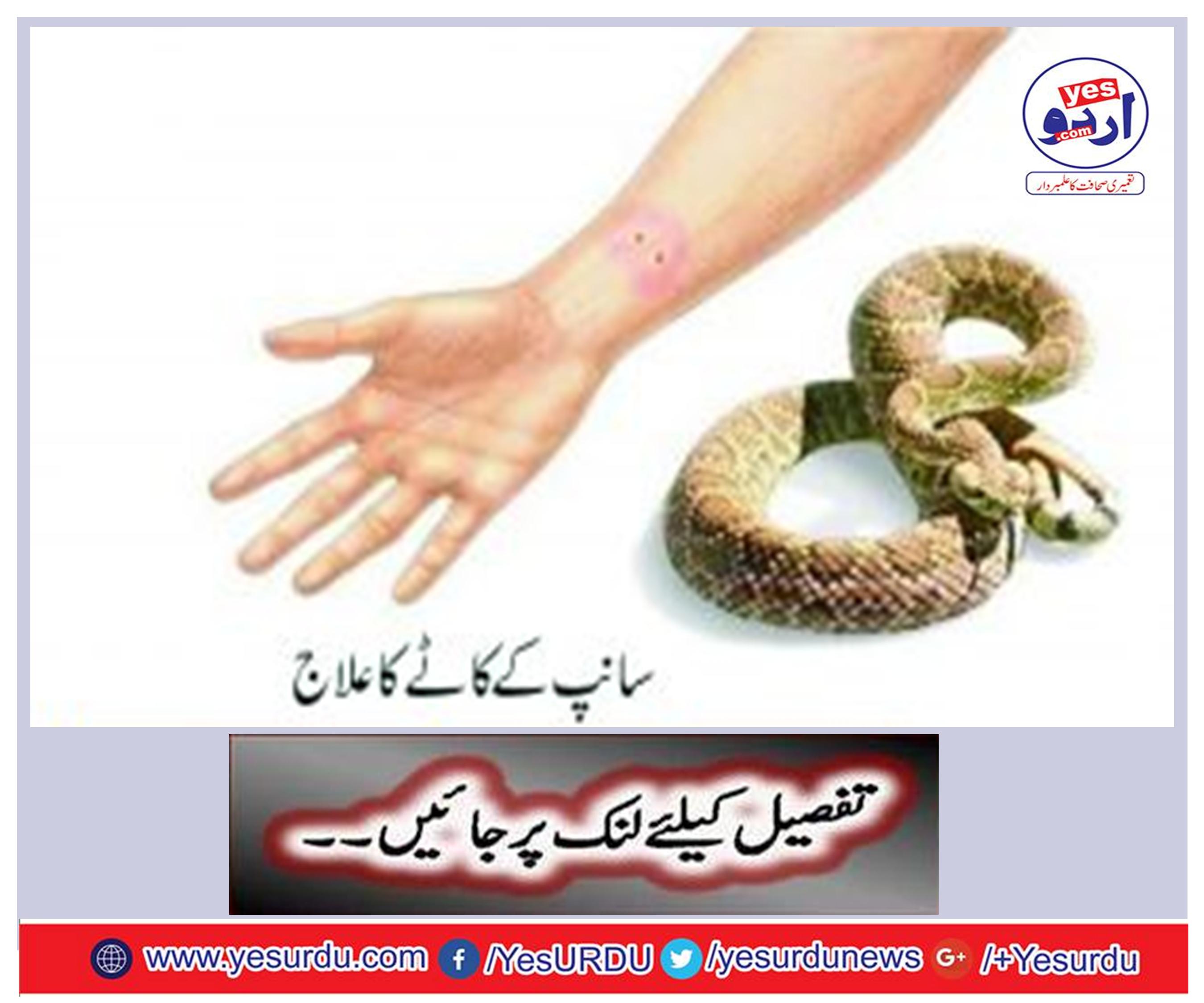 Treatment of snake bite