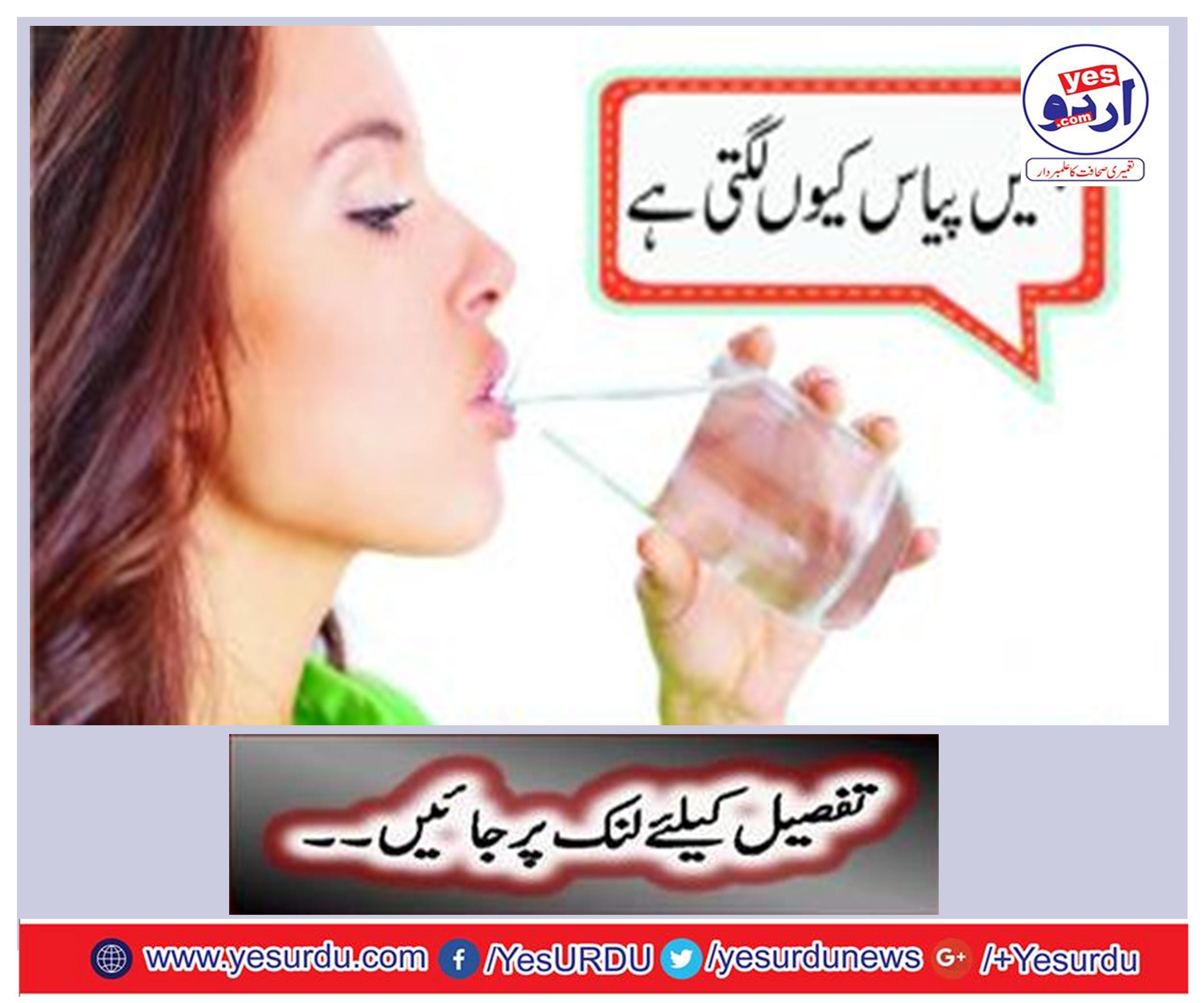 Why do we feel thirsty?
