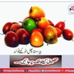 Berry Cheap Fruit Unique Benefits