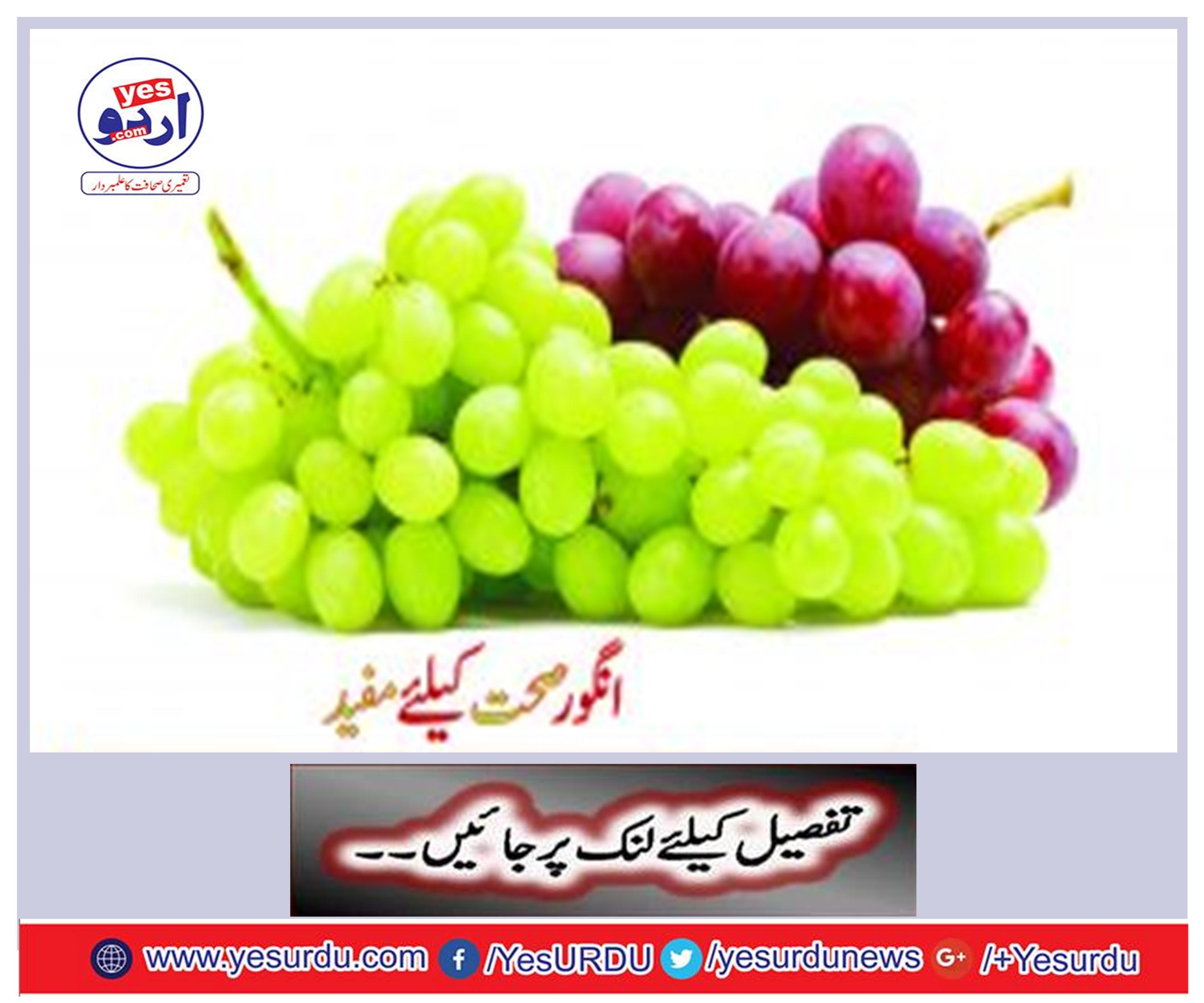 Grapes are useful for health
