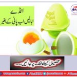 Egg boils now without water