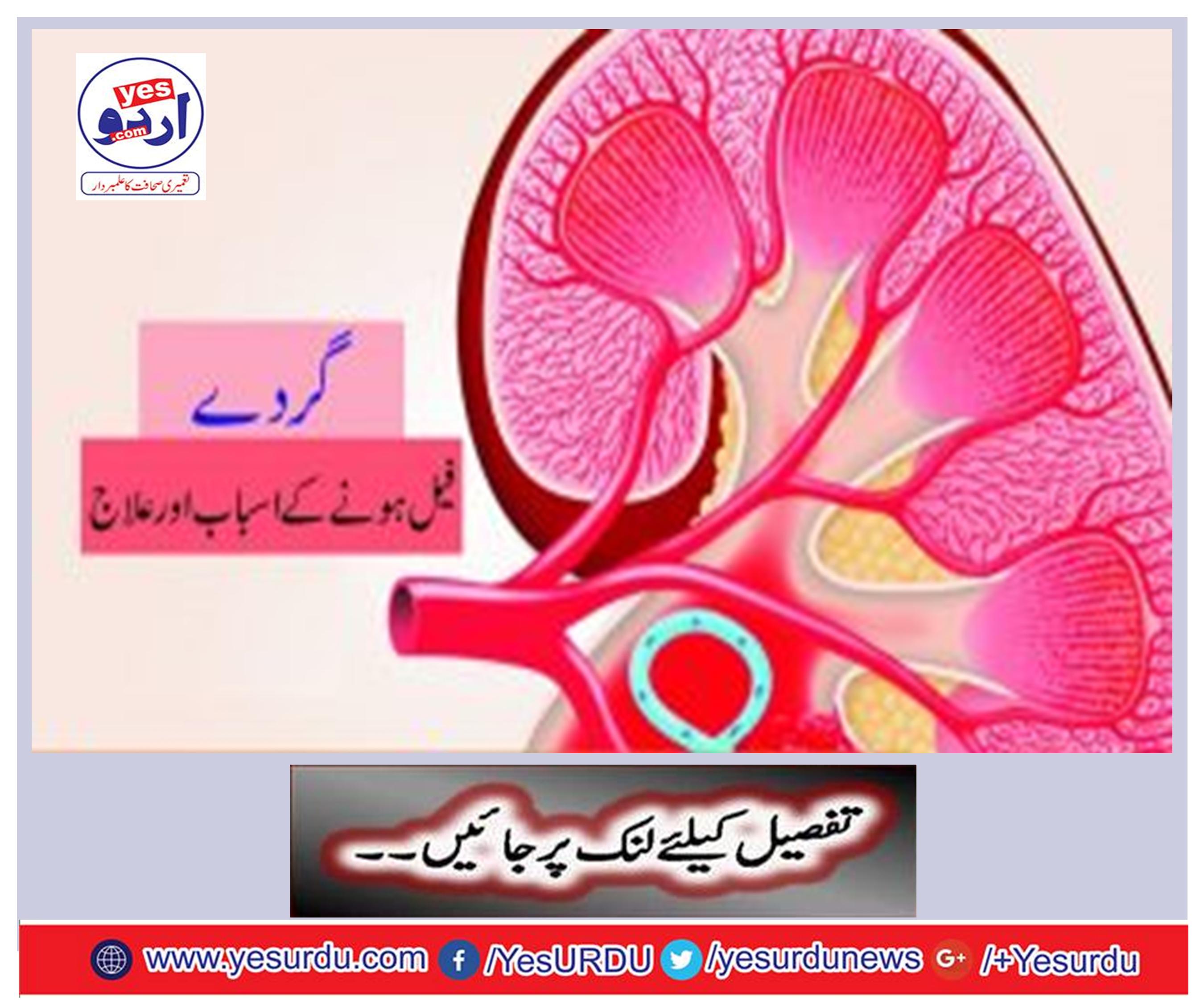 Kidneys and therapeutic causes