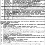 PEDO, KP, Jobs, 2019 ,for, 45+ ,IT ,Assistants, Sub-Engineers, Accountants, Social Organizers, Clerks, &, Drivers, 3, December, 2018