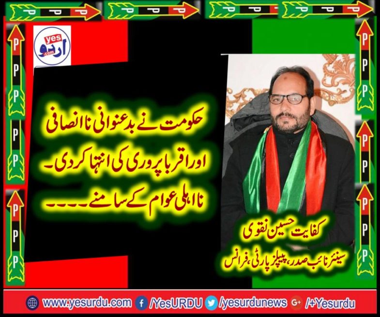 Kafayat Naqvi, SENIOR, VICE, PRESIDENT, PPP, FRANCE