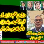 Mian Muhammad Hanif, CHIEF EXECUTIVE, PMLN, FRANCE