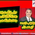 Raja Muhammad Ajaib, SENIOR, LEADER, PTI, FRANCE