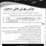 AJK Local Govt Department Jobs 2019 for 2+ UC Secretary