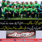 Shaheen never falls ... Despite the loss of South Africa, Pakistan's high flight,