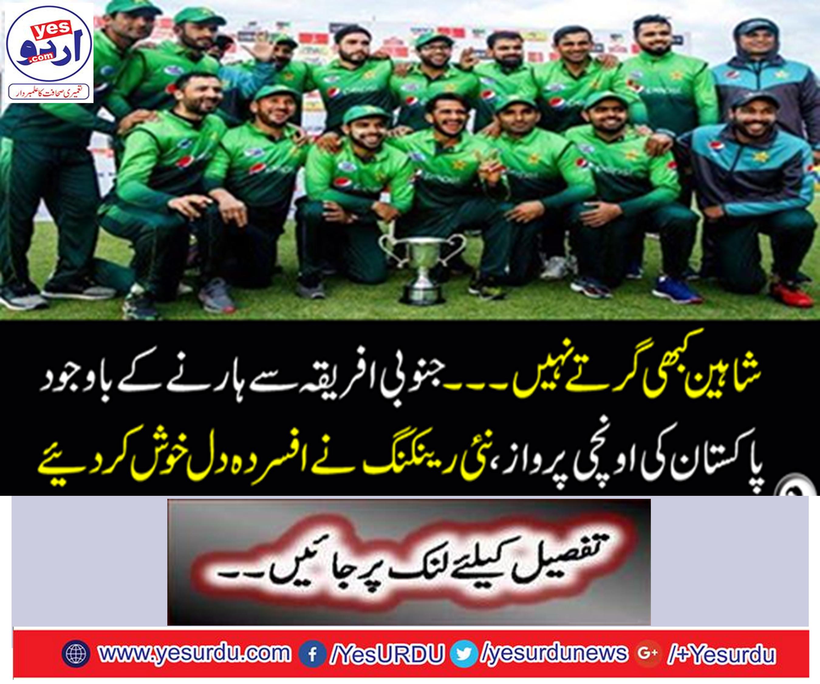 Shaheen never falls ... Despite the loss of South Africa, Pakistan's high flight,