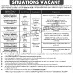 Pakistan Engineering Council (PEC) Jobs 2019 for 10+ IT Staff, Assistant Registrars / Asst Managers