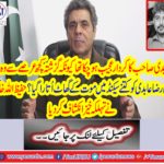 The role of Ali Raza Abidi was somewhat strange