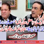 Nawaz Sharif's punishment will be suspended or not? What if Asif Ali Zardari was arrested?
