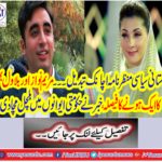 If Asif Zardari was put in prison then Mary Nawaz and Bilawal Bhutto could be one