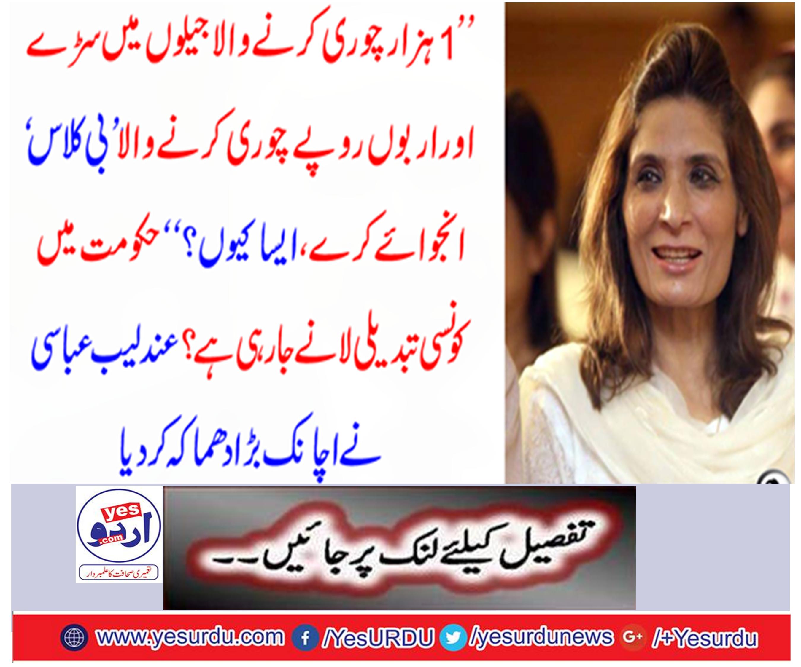 Whatever legislation was done in the past was to facilitate the corrupt people: Adilib Abbasi