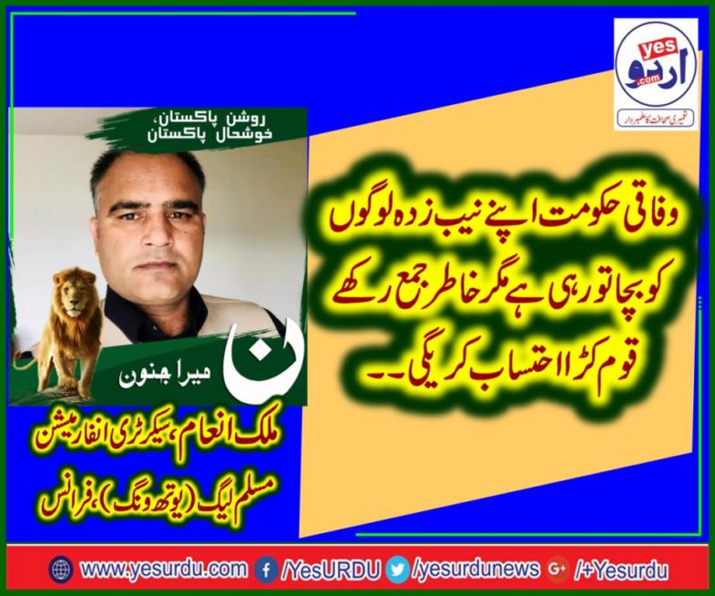 malik inam, SECRETARY, INFORMATION, PMLN, YOUTH WING, FRANCE