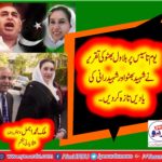 malik muhammad ajmal, SENIOR, LEADER,PPP, BELGIUM