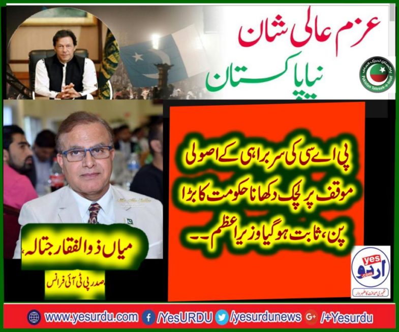 mian zulifqar jatala, PRESIDENT, PTI, FRANCE