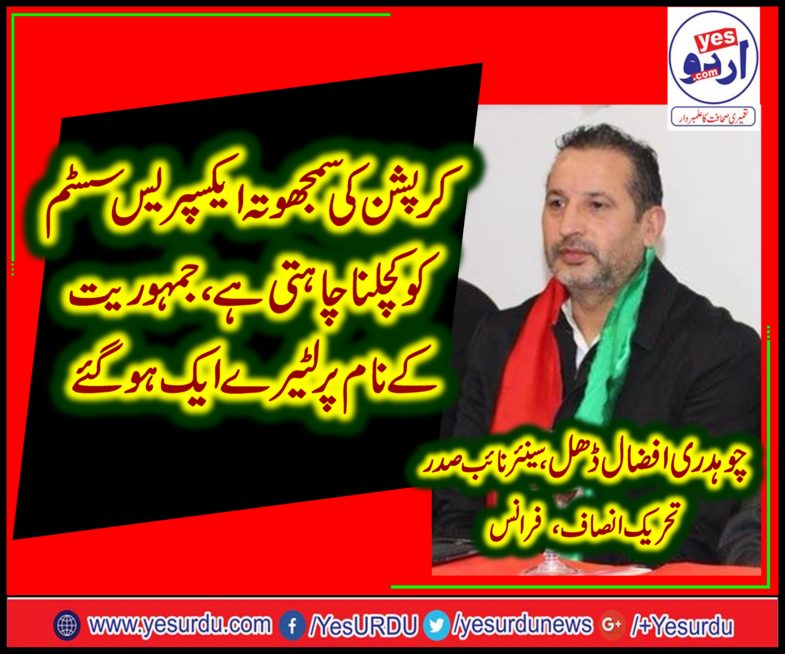 CH. AFZAL DHAL, SENIOR, VICE, CHAIRMAN, PTI, FRANCE