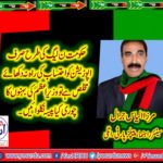 mirza ilyas jarral, SENIOR, LEADER, PPP, ITALLY
