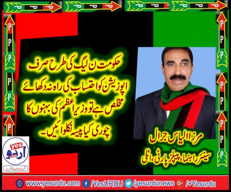 mirza ilyas jarral, SENIOR, LEADER, PPP, ITALLY