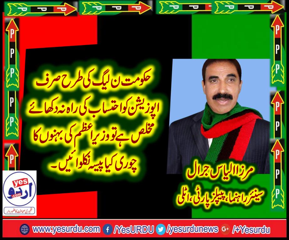 mirza ilyas jarral, SENIOR, LEADER, PPP, ITALLY