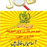Top Jobs Alert in Pakistan