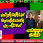 zahid abbas shah, president, ppp, Germany