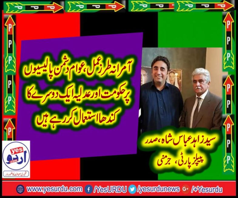 zahid abbas shah, president, ppp, Germany