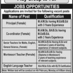 Dar-e-Arqam Schools Abbottabad Jobs 2019 for Teachers, Coordinator and Principal Posts