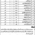 Lodhran District Education Authority Jobs 2019 for 20+ Jr Clerks, Lab, Security & Support Staff (Disable Quota)