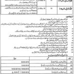 Directorate of Secondary Education Punjab Jobs 2019 for Junior Clerk and Stenographer (Disable Quota)