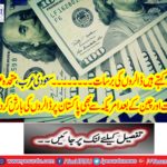 US $ 56 million invested in Pakistan during fiscal year