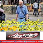 How did the son of India's richest person Vijay Pat Sangania destroy them?