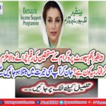 The arrested accused of money laundering of the Benazir Income Support Program,