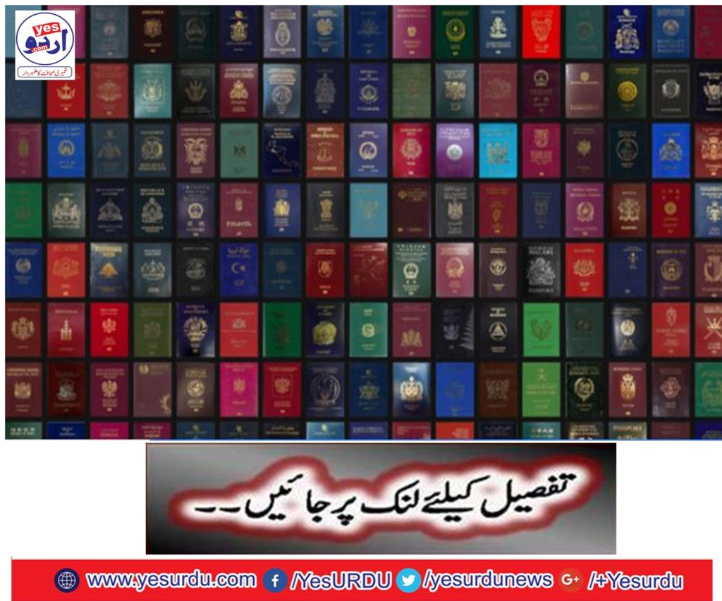 What does your passport color show?