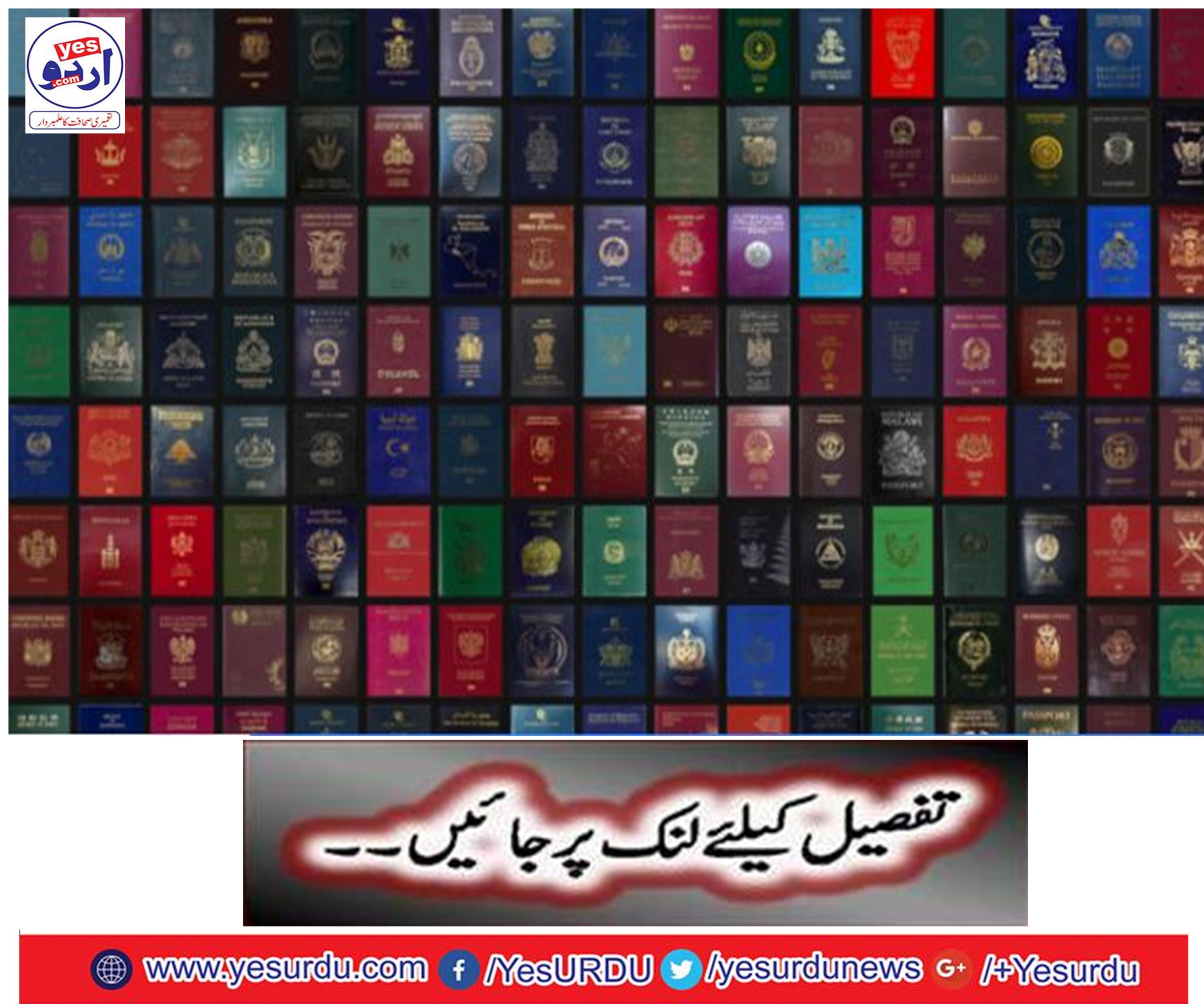 What does your passport color show?