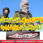 The Taliban announced that the whole world was scared,