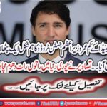 Former Canadian Prime Minister, Justin Troyo, formulated a formula with us