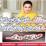 . After the Twitter and Facebook, Mary Nawaz's 'Tuck Talk' came to normal on the scene that everyone was shocked.