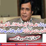 What kind of responsibility was given to Parvez Elahi to break the Muslim League (N) in Punjab?