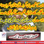 The harvest took place .... Haroon Rashid