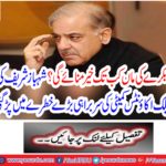 The head of Shahbaz Sharif's Public Accounts Committee was under consideration