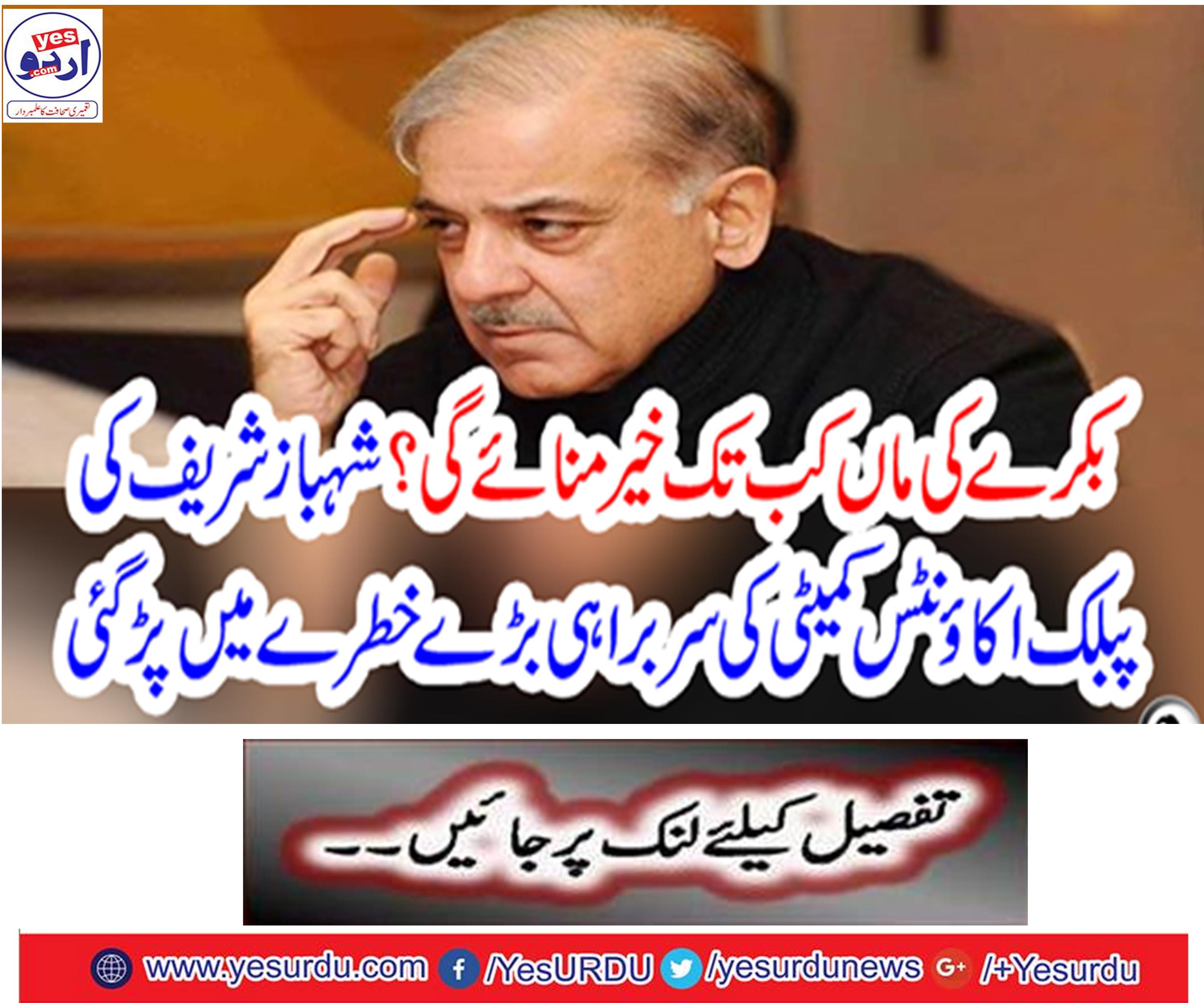 The head of Shahbaz Sharif's Public Accounts Committee was under consideration