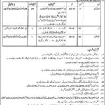 Punjab Directorate General of Sports Jobs 2019 for 6+ Junior Clerks, Plumber and Electrician (Disable Quota)