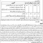 Mines & Minerals Department Punjab Jobs 2019 for 9+ Junior Clerks, Naib Qasid and Tracer (Disable Quota)