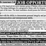 Efu Life Assurance Ltd Jobs 2019 for Graduates