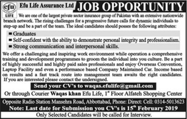 Efu Life Assurance Ltd Jobs 2019 for Graduates