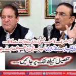 Nawaz Sharif refuses to meet Asif Ali Zardari